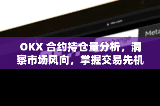 OKX 合约持仓量分析，洞察市场风向，掌握交易先机