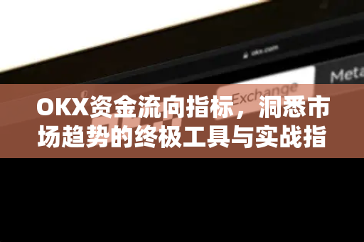 OKX资金流向指标,洞悉市场趋势的终极工具与实战指南-第1张图片-欧易 - OKX官网下载 | 全球智能投资加密货币交易所 OKX资金流向指标,洞悉市场趋势的终极工具与实战指南-第1张图片-欧易 - OKX官网下载 | 全球智能投资加密货币交易所