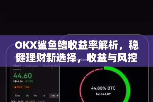 OKX鲨鱼鳍收益率解析，稳健理财新选择，收益与风控如何兼得？