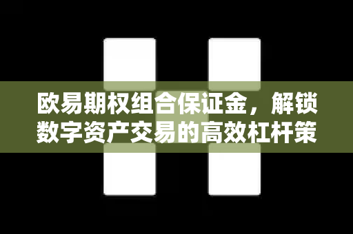 欧易期权组合保证金，解锁数字资产交易的高效杠杆策略