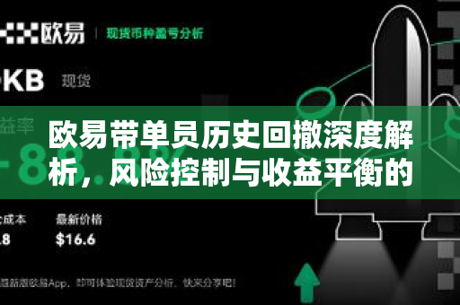 欧易带单员历史回撤深度解析，风险控制与收益平衡的关键指标