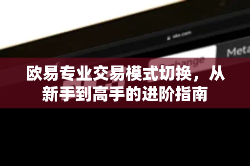 欧易专业交易模式切换，从新手到高手的进阶指南-第1张图片-欧易 - OKX官网下载 | 全球智能投资加密货币交易所