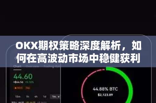 OKX期权策略深度解析，如何在高波动市场中稳健获利？-第1张图片-欧易 - OKX官网下载 | 全球智能投资加密货币交易所