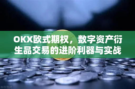 OKX欧式期权，数字资产衍生品交易的进阶利器与实战指南