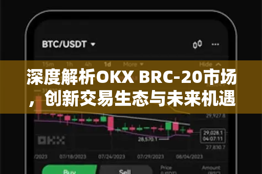 深度解析OKX BRC-20市场，创新交易生态与未来机遇-第1张图片-欧易 - OKX官网下载 | 全球智能投资加密货币交易所