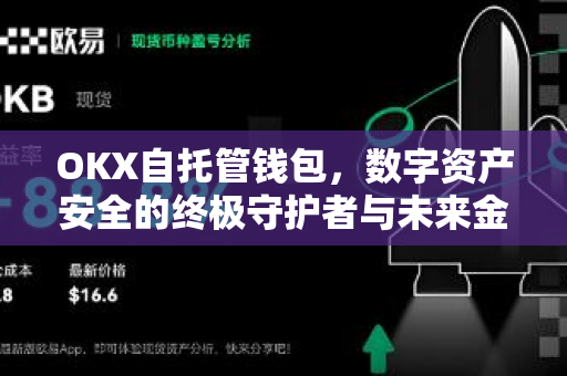 OKX自托管钱包，数字资产安全的终极守护者与未来金融入口