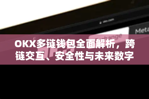 OKX多链钱包全面解析，跨链交互、安全性与未来数字资产管理新趋势-第1张图片-欧易 - OKX官网下载 | 全球智能投资加密货币交易所
