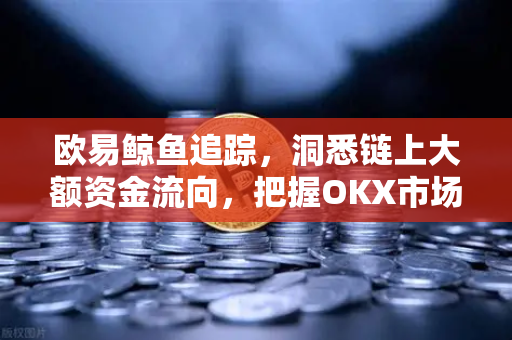 欧易鲸鱼追踪，洞悉链上大额资金流向，把握OKX市场先机-第1张图片-欧易 - OKX官网下载 | 全球智能投资加密货币交易所