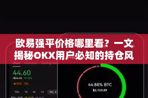 欧易强平价格哪里看？一文揭秘OKX用户必知的持仓风控核心指标-第1张图片-欧易 - OKX官网下载 | 全球智能投资加密货币交易所