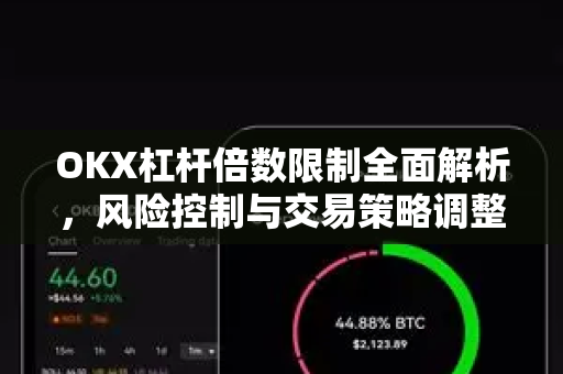OKX杠杆倍数限制全面解析，风险控制与交易策略调整指南