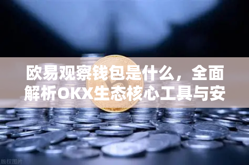 欧易观察钱包是什么，全面解析OKX生态核心工具与安全交易指南-第1张图片-欧易 - OKX官网下载 | 全球智能投资加密货币交易所
