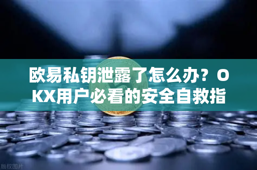 欧易私钥泄露了怎么办?OKX用户必看的安全自救指南-第1张图片-欧易 - OKX官网下载 | 全球智能投资加密货币交易所 欧易私钥泄露了怎么办?OKX用户必看的安全自救指南-第1张图片-欧易 - OKX官网下载 | 全球智能投资加密货币交易所