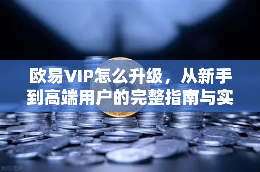 欧易VIP怎么升级，从新手到高端用户的完整指南与实操答疑-第1张图片-欧易 - OKX官网下载 | 全球智能投资加密货币交易所
