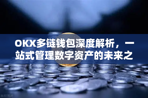 OKX多链钱包深度解析，一站式管理数字资产的未来之选