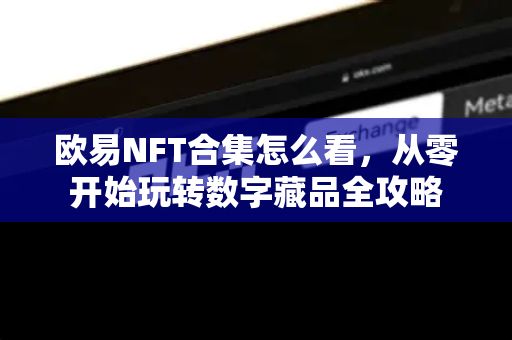 欧易NFT合集怎么看，从零开始玩转数字藏品全攻略-第1张图片-欧易 - OKX官网下载 | 全球智能投资加密货币交易所