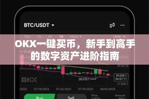 OKX一键买币，新手到高手的数字资产进阶指南